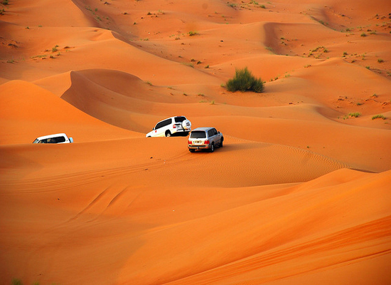 Dune Bashing